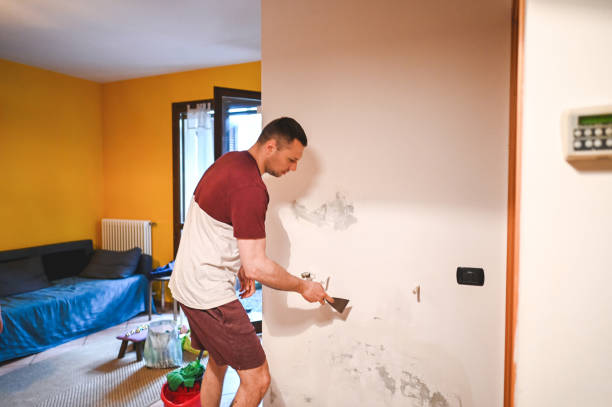Best Black Mold Removal  in Mvern, AL