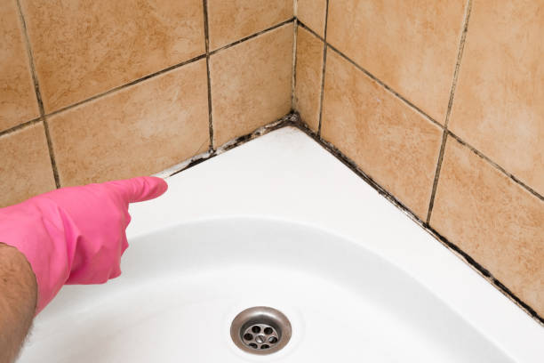 Best Attic Mold Removal  in Mvern, AL